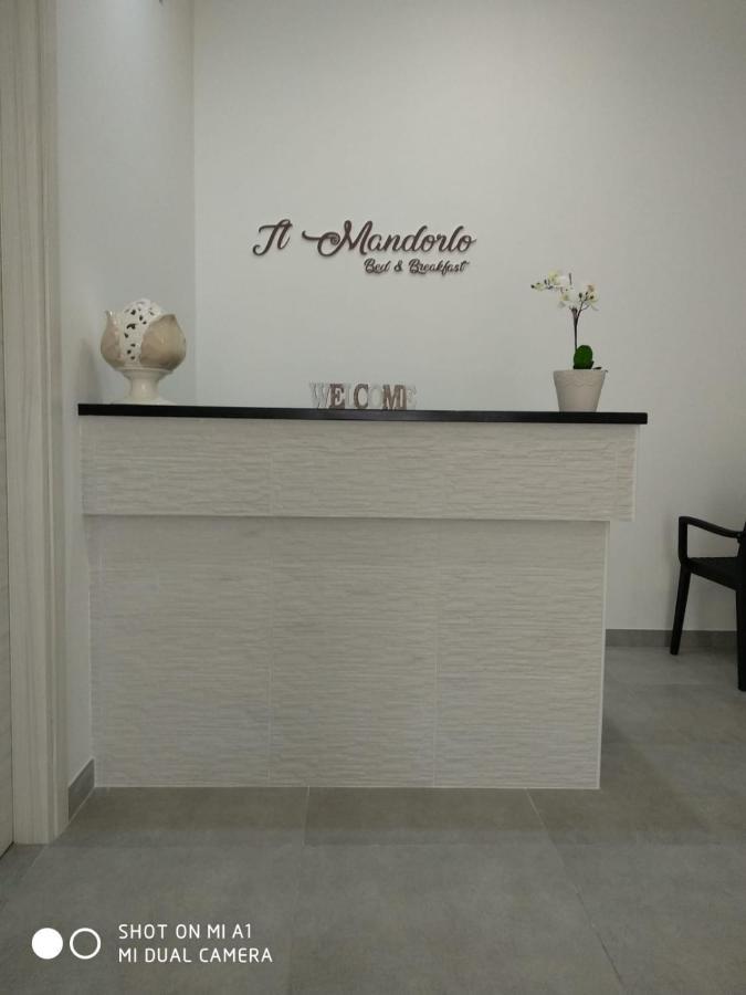 B&B Il Mandorlo Polignano a Mare Εξωτερικό φωτογραφία
